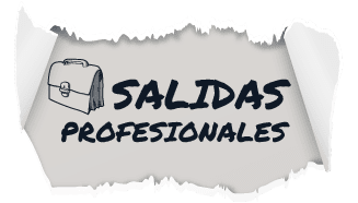 SALIDAS PROFESIONALES_Mesa de trabajo 1-min